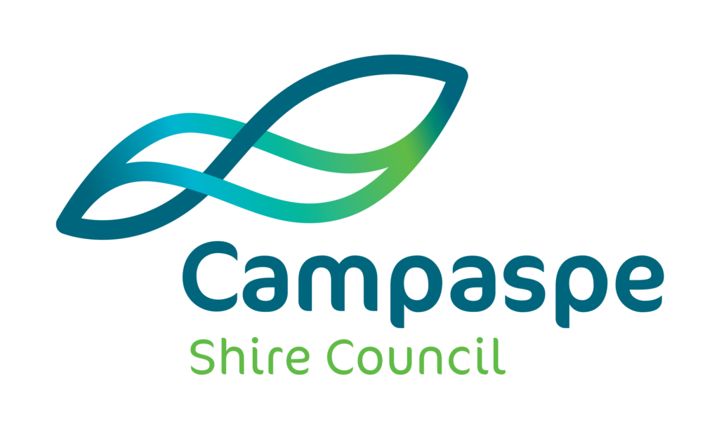 Csc primary logo