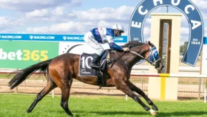 Echuca racing club