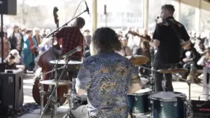 Winterbluesfest